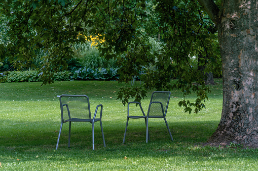 Tranquil scene with two chairs on a green lawn in a park under a hugh tree on a sunny day