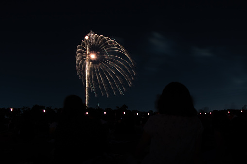 This is a picture of beautiful fireworks in Itabashi, Tokyo.