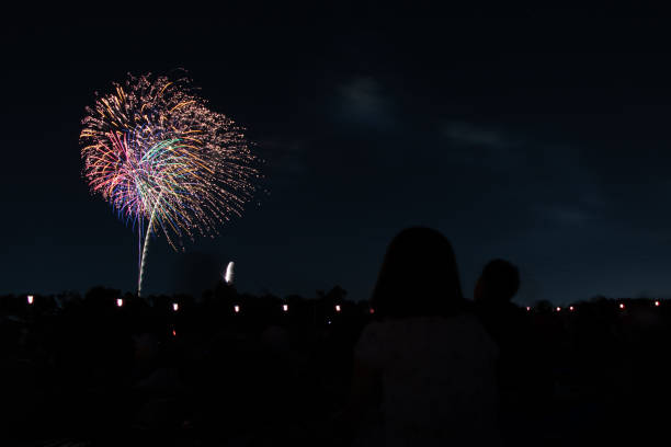 This is a picture of beautiful fireworks in Itabashi, Tokyo.