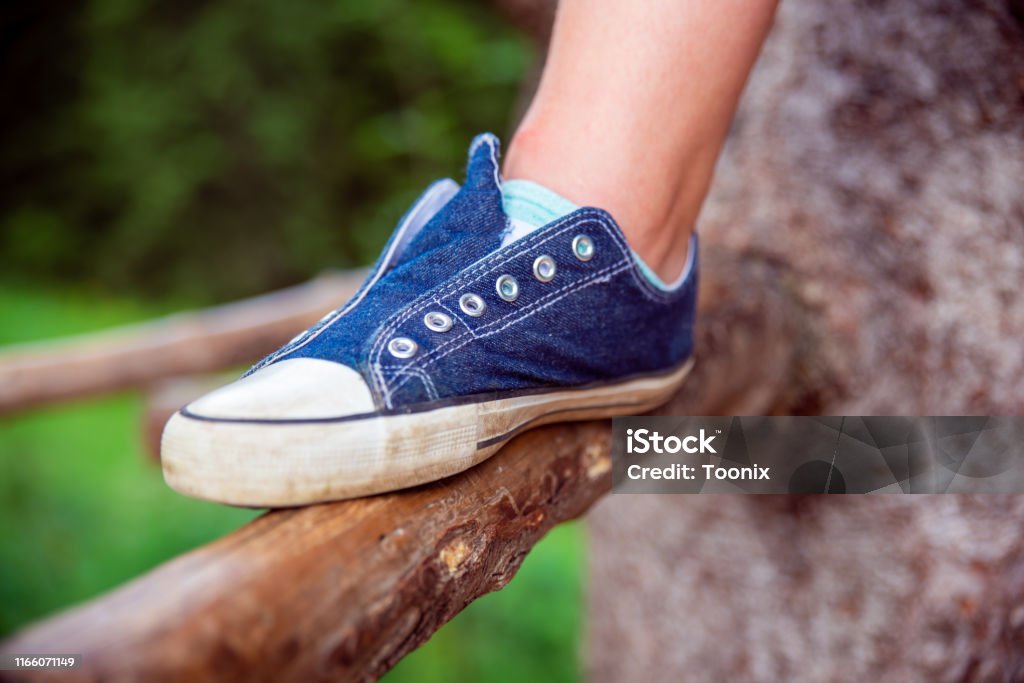 신발끈이 없는 파란색 운동화 건강한 생활방식에 대한 스톡 사진 및 기타 이미지 - 건강한 생활방식, 과거, 나무 - Istock