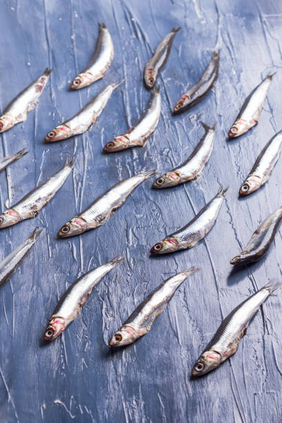 istock Fish pattern. Fresh anchovies on blue 1166071761