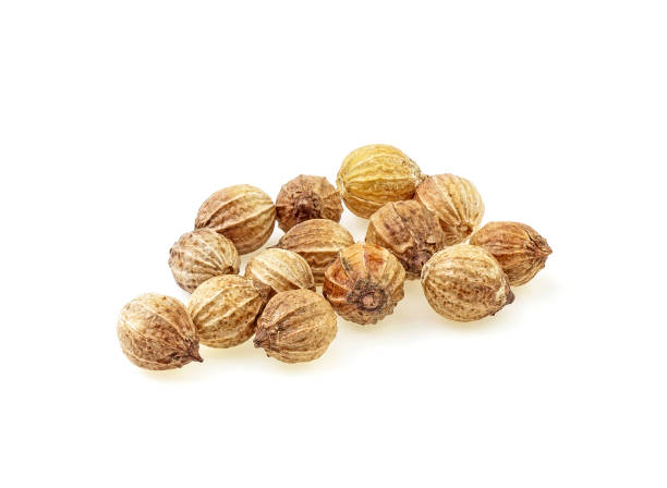 istock Coriander seeds isolated on white background, full depth of field. 1166076216