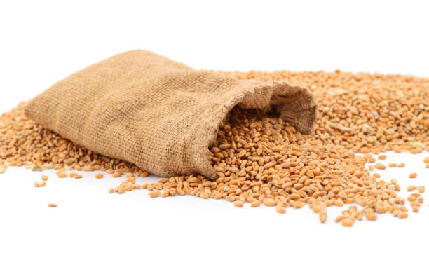 istock Sack with grains  of wheat. 1166077787