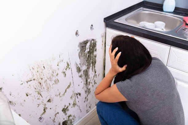 istock Woman Looking At Mold On Wall 1166079411