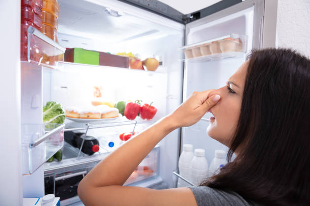 istock Woman Recognizing Bad Smell From The Refrigerator 1166079425