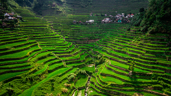 Aerial view of Batad Rice Terraces in Ifugao Province, Luzon Island, Philippines.