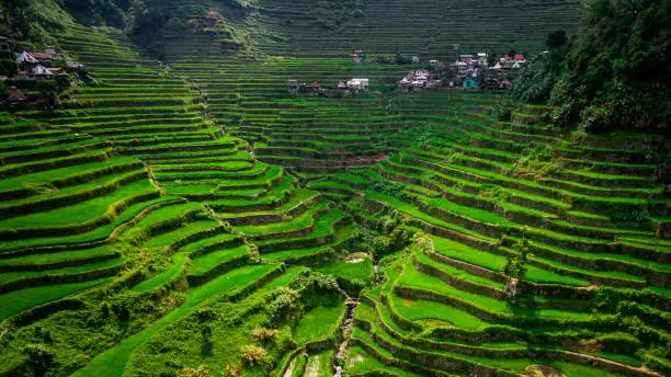 Photo of Aerial View of Batad Rice Terraces, Ifugao Province, Luzon Island, Philippines