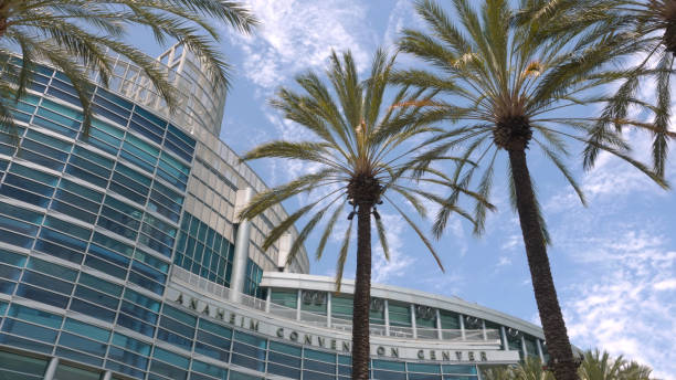 Top of the Anaheim Convention Center formed by palm trees and blue sky. Pretty view of the top of the Anaheim Convention Center with signage, framed by exotic palm trees on a sunny day, with blue sky and a few clouds. anaheim california stock pictures, royalty-free photos & images