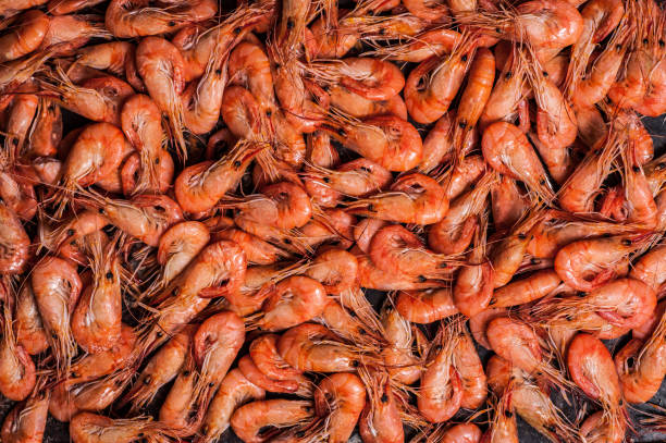 istock Shrimps on dark grunge background. Top view 1166082648