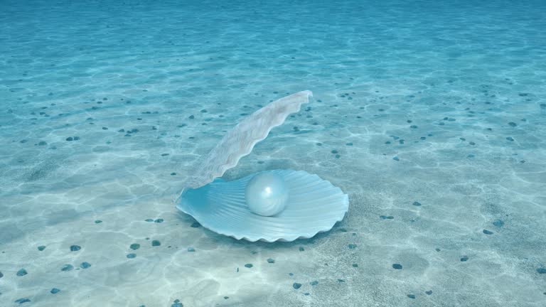 Beautiful pearl in the shell on the seabed