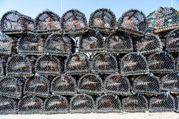 istock Lobster cages stacked up at Howth Harbour, Dublin, Ireland. 1166087835