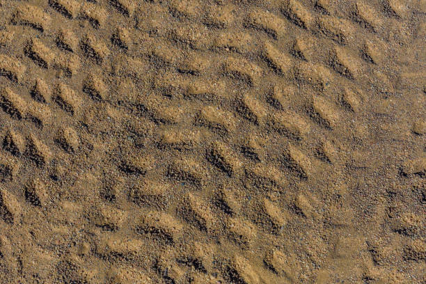 pistes des pneus sur un sable dans le désert - tire track egypt track africa photos et images de collection
