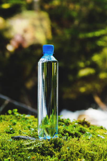 istock Plastic bottle blue cap with fresh drinking water on a background of green forest stands on a stone with moss. 1166089557