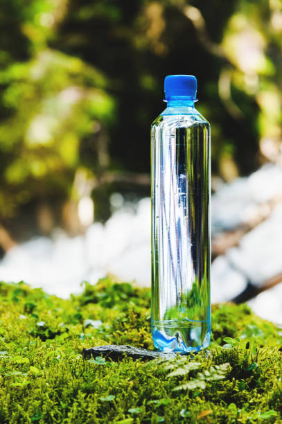 istock Plastic bottle blue cap with fresh drinking water on a background of green forest stands on a stone with moss. 1166089629
