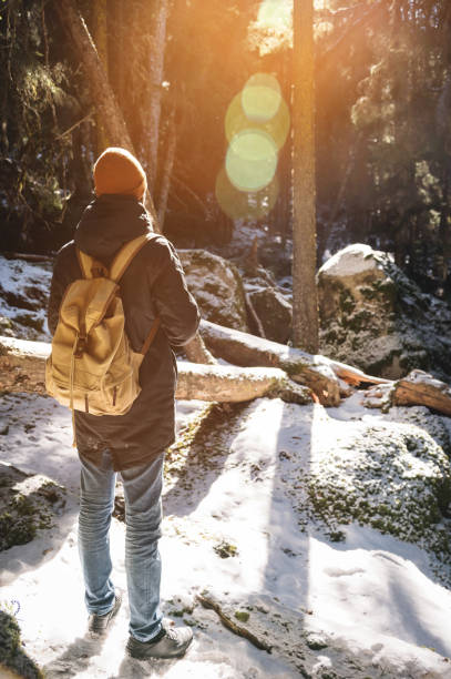 A bearded man in a hat and a backpack stands with his back in winter in a coniferous forest. The concept of winter travel and walks in the woods.