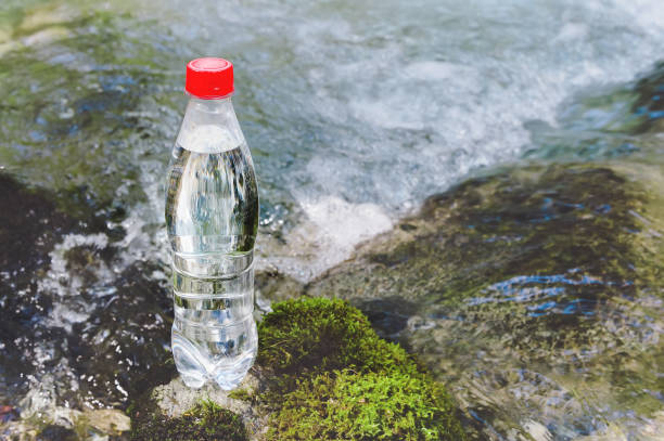 istock A plastic bottle with a red cap with fresh drinking water against a background of green forest 1166090705