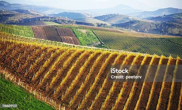 Sicilian Landscape Stock Photo - Download Image Now - Agricultural Field, Agriculture, Color Image