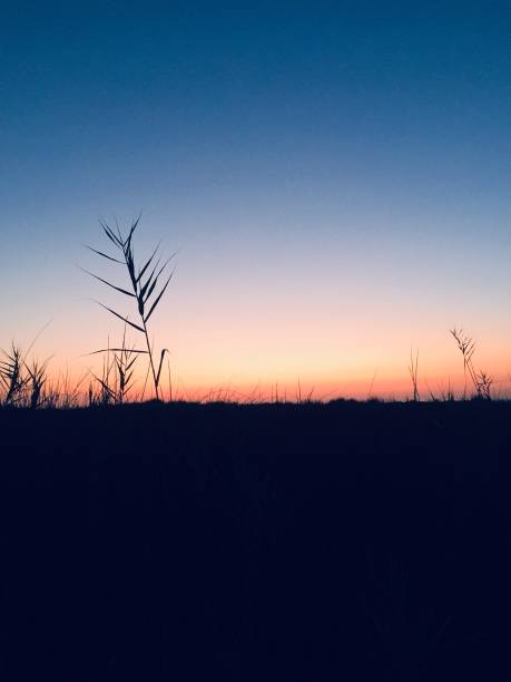 Sunset silhouette in Spain stock photo