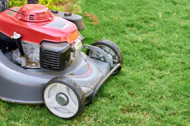 istock Lawn  mover on green grass in a garden close up 1166092469