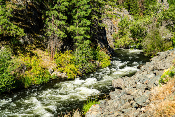 rápidos de agua blanca en el río powder - montana water landscape nature fotografías e imágenes de stock