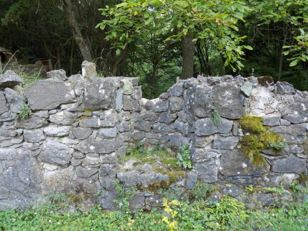 istock Adventure of exploring medieval ruins in a deep forest 1166102733