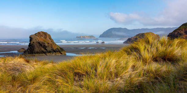 oregon coast sand dunes ariya's beach . - oregon beach photos et images de collection