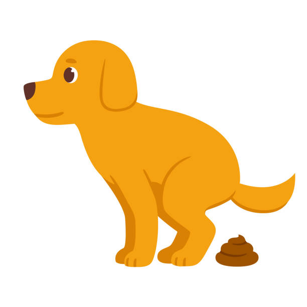 Ilustración de Caca De Perro De Dibujos Animados y más Vectores Libres de  Derechos de Perro - Perro, Heces, Defecar - iStock