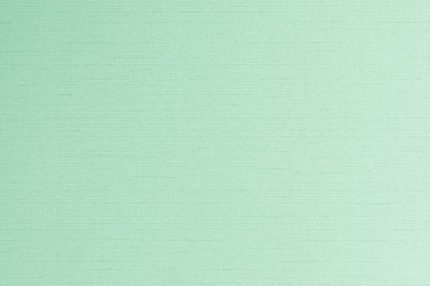 istock Cotton silk blended fabric wallpaper texture pattern background in light pale pastel green color 1166110041