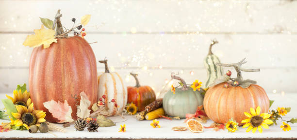 istock Autumn Pumpkin Background on Wood 1166110063