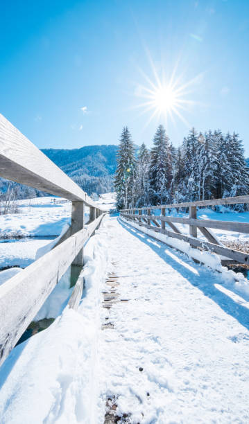 istock Snow covered wooden footbridge against blue sky 1166110664