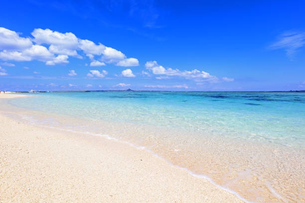 istock Beautiful tropical beach at Okinawa. 1166110744