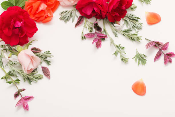 istock rose flowers and leaves on white background 1166111483