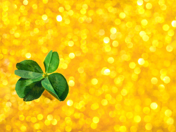 istock Fresh green lucky four leaf clover 1166114325