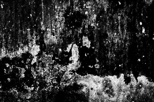 istock Abstract rustic surface dark wood table texture background. Close up rustic dark wall made of white wood table planks texture. Rustic dark wood table texture background empty template for your design. 1166115192