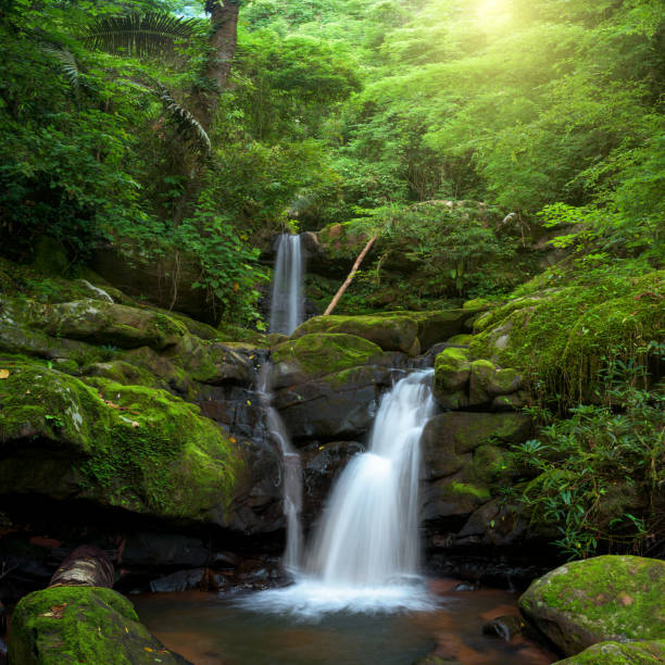 istock Beautiful waterfall in green forest in jungle, Thailand 1166120990