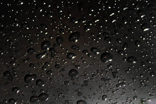 istock Drops of water 1166121011