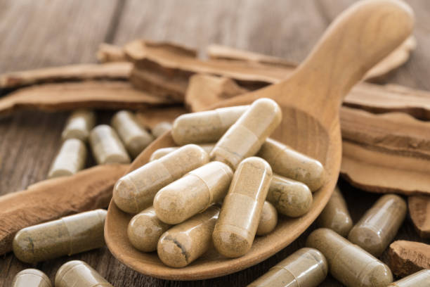 lingzhi mushroom, herb capsule - chinese medicine herb pill nutritional supplement imagens e fotografias de stock