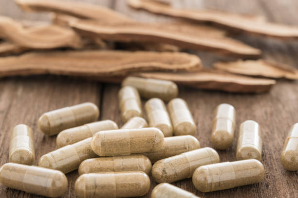 cogumelo de lingzhi, cápsula da erva - chinese medicine nutritional supplement herb pill - fotografias e filmes do acervo