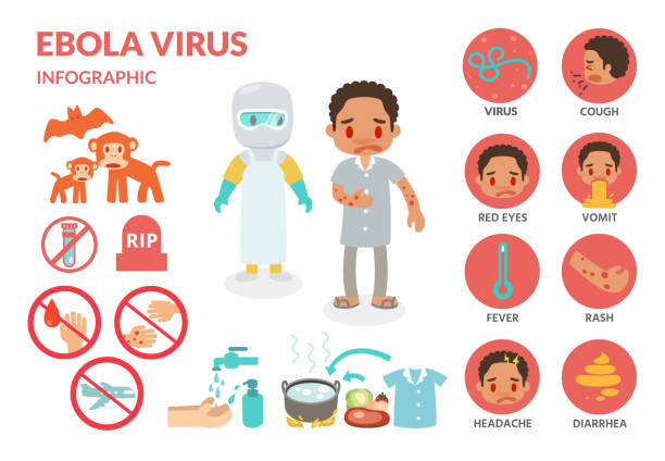 illustrazioni stock, clip art, cartoni animati e icone di tendenza di infografica sull'infezione da virus ebola. - ebola