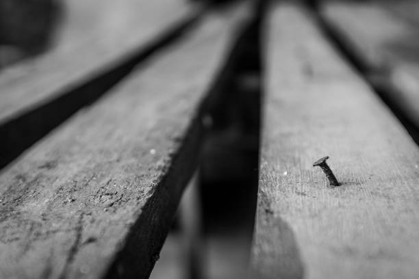 Nails on a wooden surface.