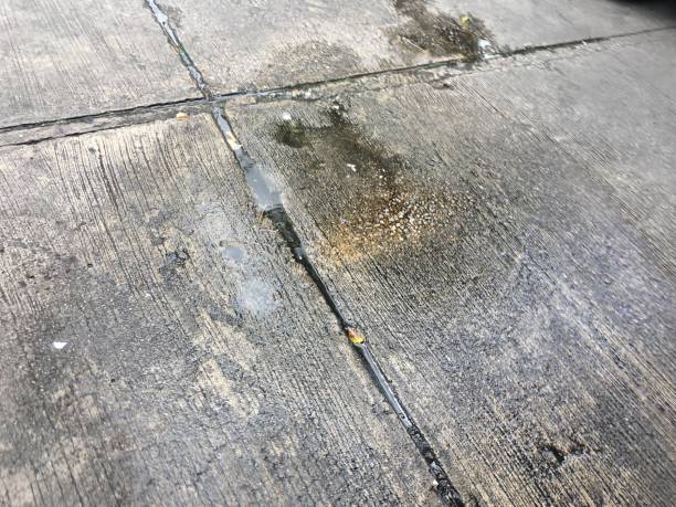 istock Water on the Street 1166131802