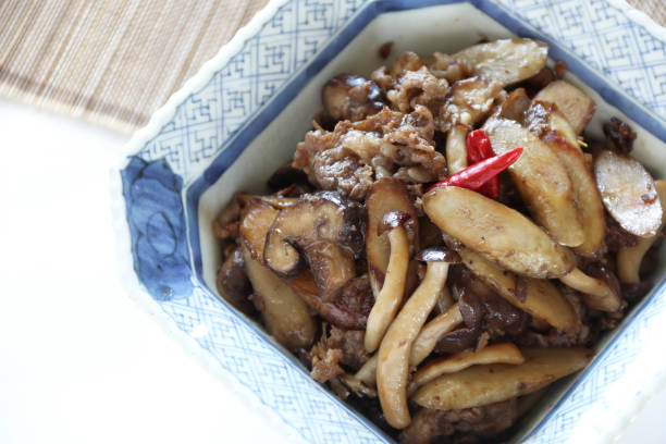 istock japanese food ( simmered burdock and beef) 1166135260