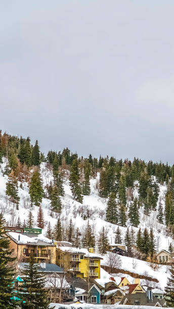 istock Vertical Mountain with colorful homes and coniferous trees on its snow covered slope 1166136058