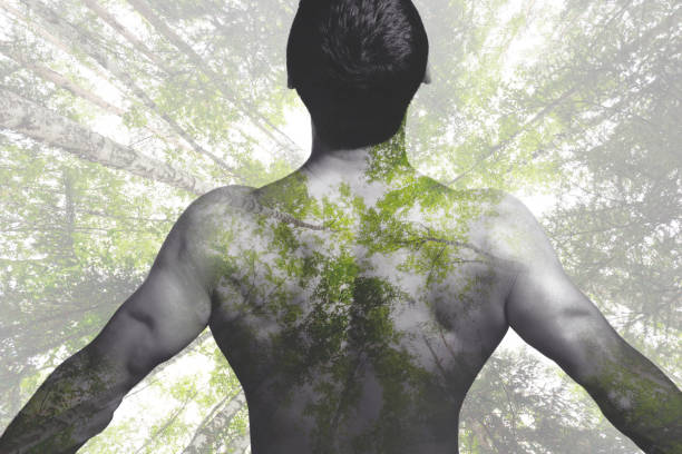 Creative double exposure man nature and green forest. The concept of the unity of man and nature