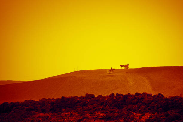 An image of a horse ride in the desert Cairo Egypt
