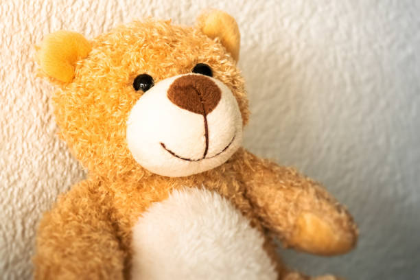istock sweet little teddy bear 1166144191