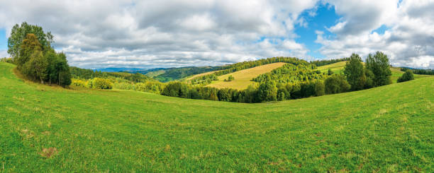 istock beautiful panorama of a summer mountain landscape 1166145358