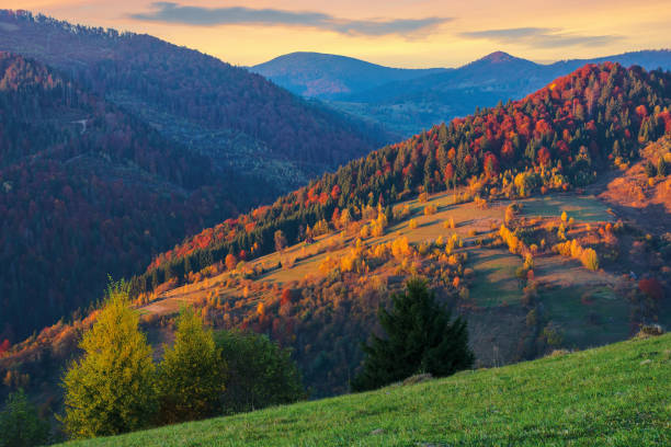 istock beautiful autumn countryside landscape at dusk 1166145377