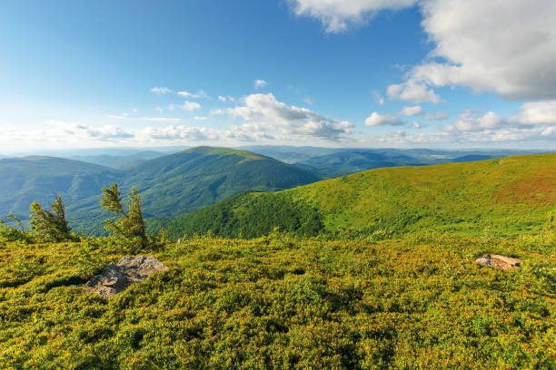 istock mountain scenery in summer afternoon 1166145398