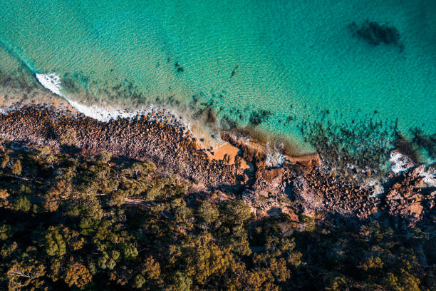 Incredible Noosa Colour Palette Aerial view showcasing the stunning natural beauty of Noosa, Australia sunshine coast australia stock pictures, royalty-free photos & images